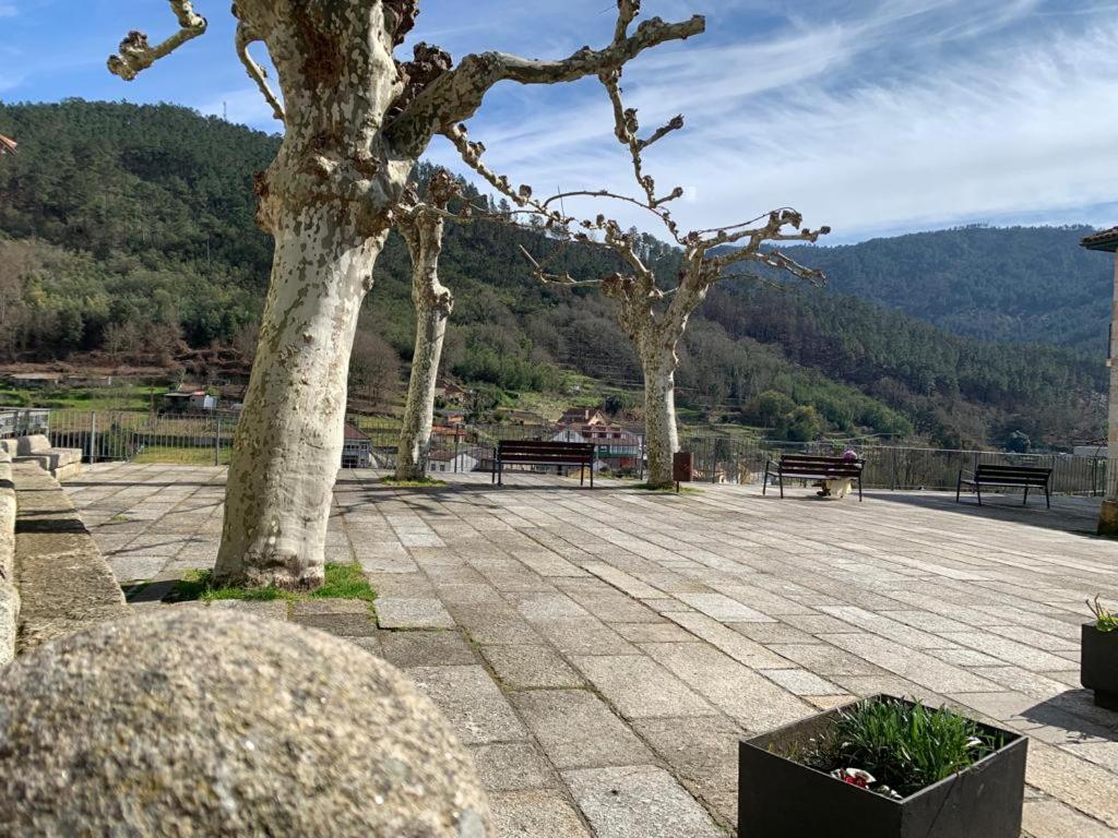 Apartamento Cepas Da Cuenga Ribadavia Exterior foto
